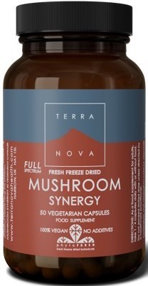 mushroom synergy